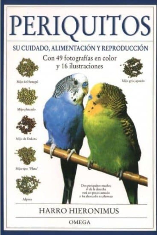 Periquitos Los Su Cuidado Alimentacion Y Reproduccion