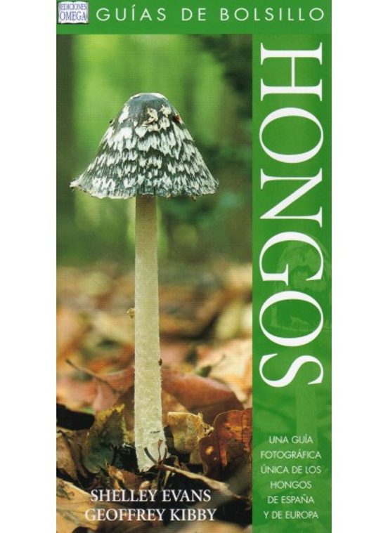 Hongos