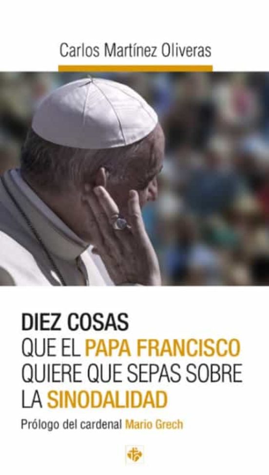 Diez Cosas Que El Papa Francisco Quiere Que Sepas Sobre La Sinodalidad