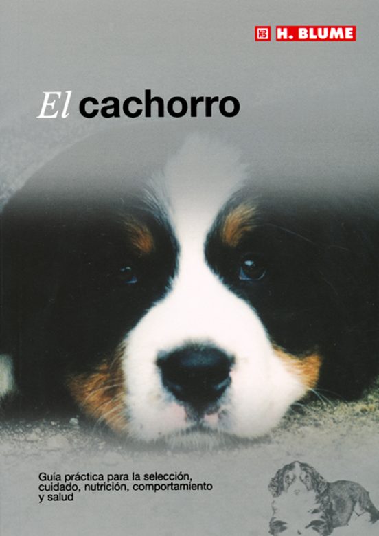 El Cachorro