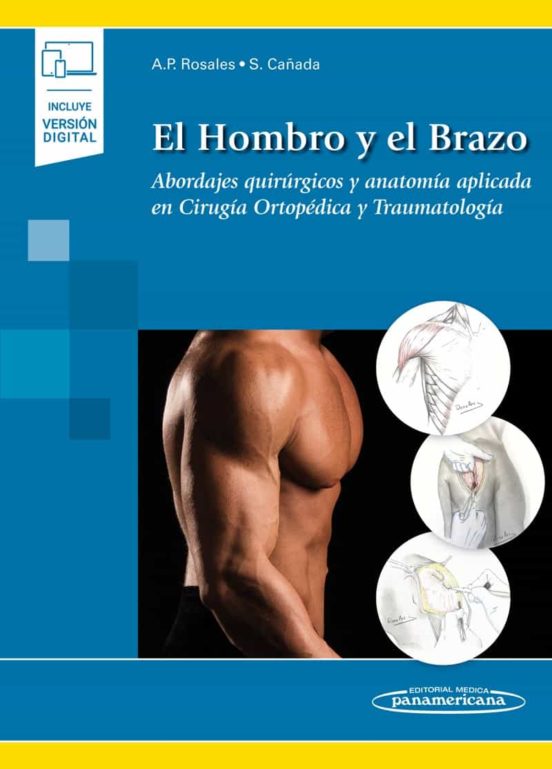 El Hombro Y El Brazo