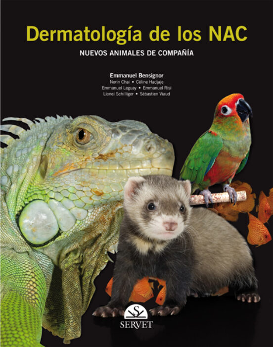 Dermatología De Los NAC