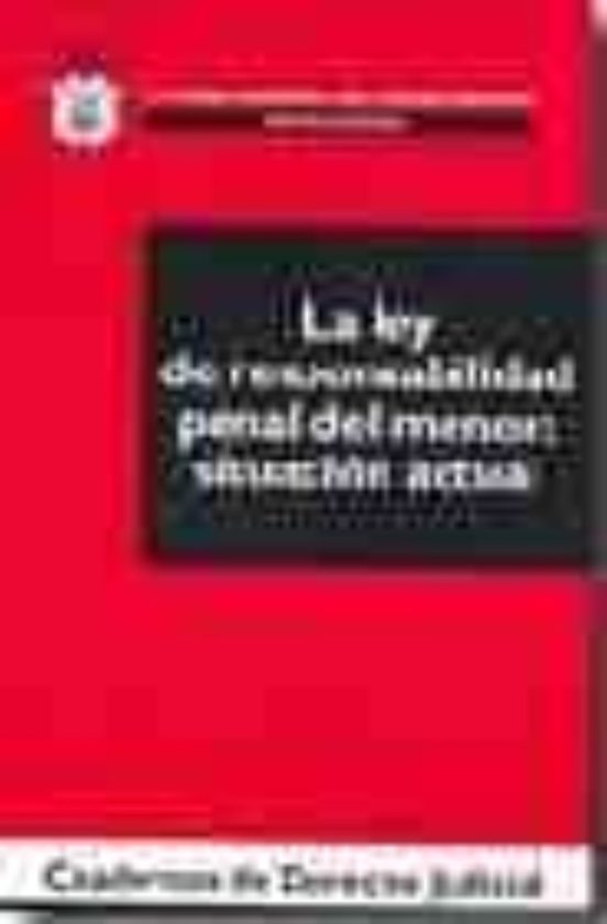 La Ley De Responsabilidad Penal Del Menor: Situacion Actual
