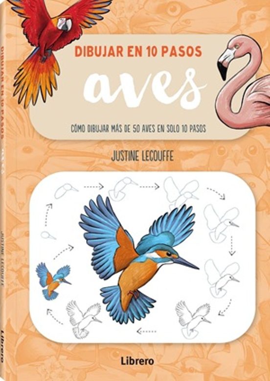 Dibujar Aves En 10 Pasos