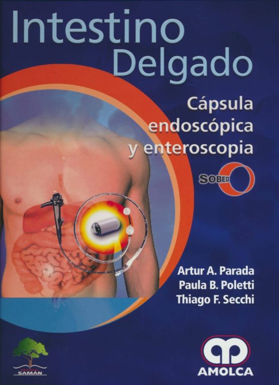 Intestino Delgado