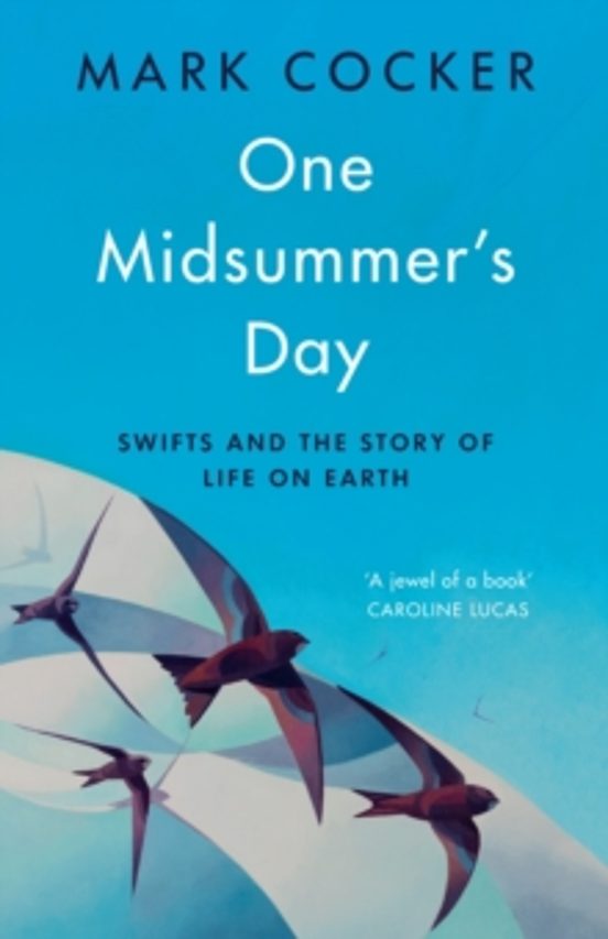 One Midsummers Day