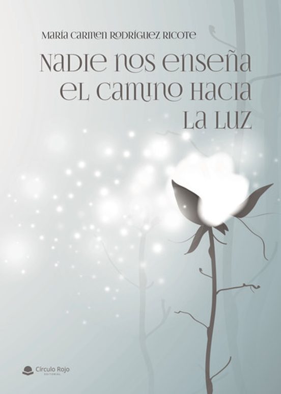 Nadie Nos Enseña El Camino Hacia La Luz