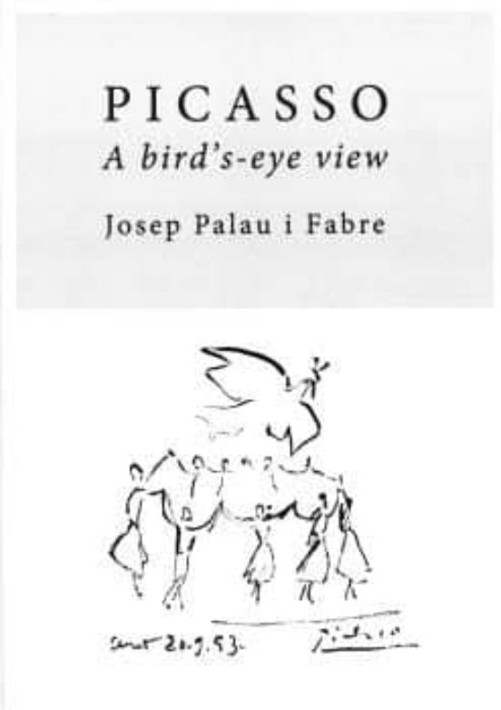 Picasso A Bird S-eye View