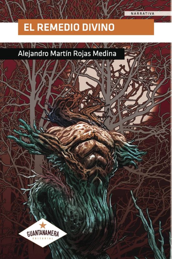 El Remedio Divino