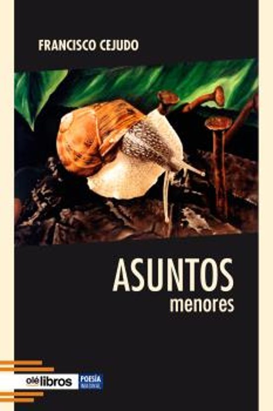 Asuntos Menores
