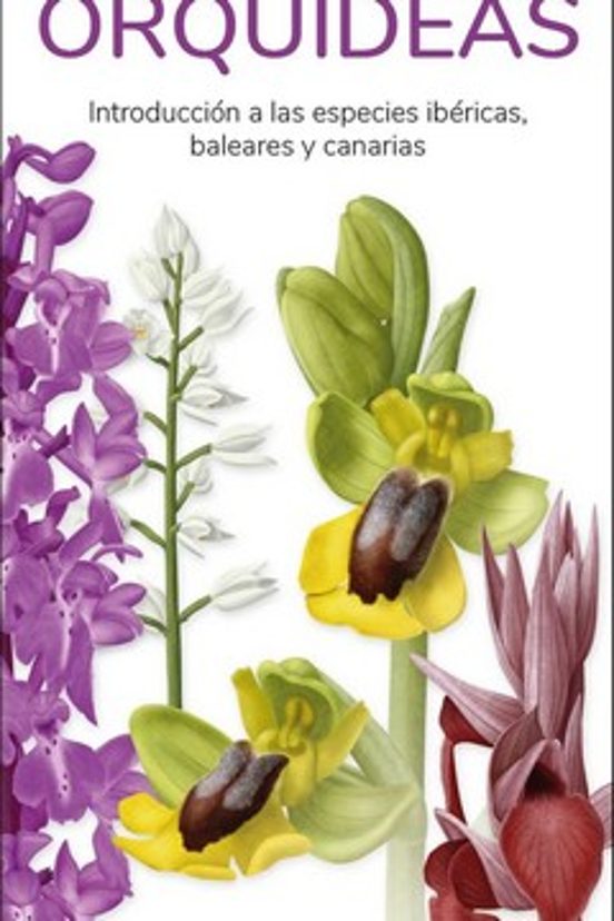Orquídeas. Introducción A Las Especies Ibéricas Baleares Y Canarias