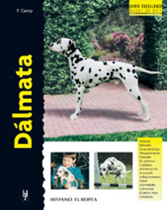 Dalmata