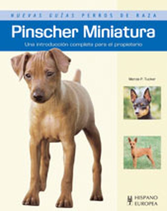 Pinscher Miniatura: Una Introduccion Completa Para El Propietario