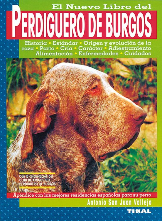 Perdiguero De Burgos