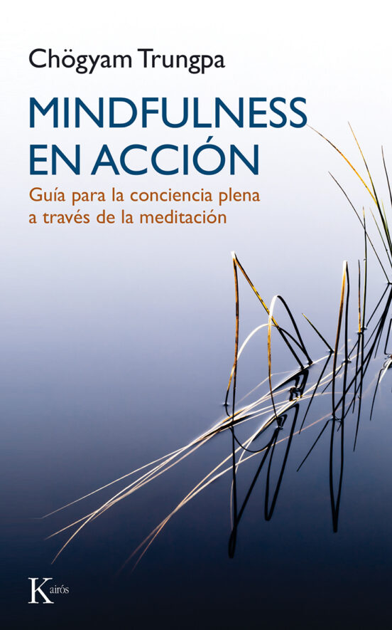 Mindfulness En Accion: Guia Para La Conciencia Plena A Traves De La Me