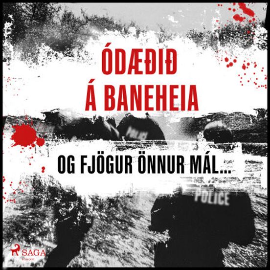 Ódæðið Á Baneheia Og Fjögur Önnur Mál Sem Gerðust Á Almenningsstöðum