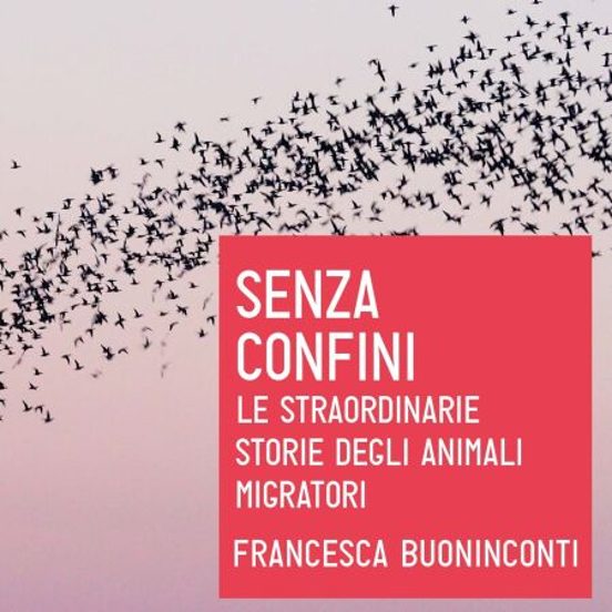 Senza Confini