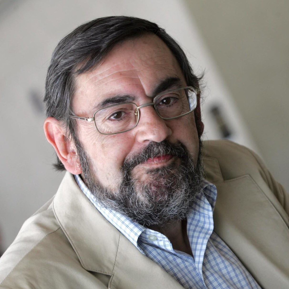 JOSE MARIA DIEZ BORQUE JOSE MARIA DIEZ BORQUE