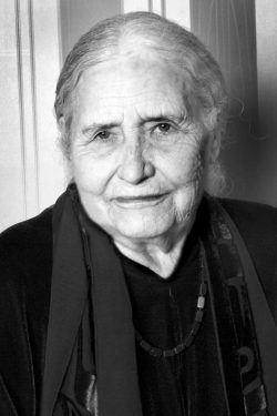 THE GOLDEN NOTEBOOK | Doris Lessing | Segunda mano | HARPERCOLLINS PUB ...