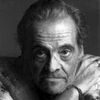 JOAN CASALS ARUMI