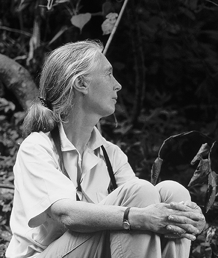 Jane Goodall