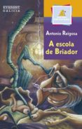 A ESCOLA DE BRIADOR di REIGOSA CARREIRAS, ANTONIO 
