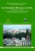 LOS SUMIDEROS NATURALES DE CO2: UNA ESTRATEGIA SOSTENIBLE ENTRE E L CAMBIO CLIMATICO Y EL PROTOCOLO DE KYOTO DESDE PERSPECTIVAS URBANA Y TERRITORIAL de FIGUEROA CLEMENTE, MANUEL ENRIQUE 
