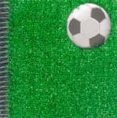 BOJOS PEL FUTBOL de MORTIMER, GAVIN  COOPER, JOHN 