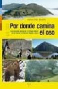 POR DONDE CAMINA EL OSO de ALBA MORATILLA, ANTONIO 