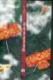 EL DOMADOR DEL VIENTO de MCCAUGHREAN, GERALDINE 