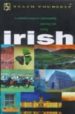 TEACH YOURSELF IRISH de OSE, DIARMUID  SHEILS, JOSEPH 