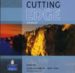 CUTTING EDGE: A PRACTICAL APPROACH TO TASK BASED LEARNING: ADVANC ED CLASS CD (2 CDS) de CUNNINGHAM, SARAH 