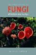 THE ENCYCLOPEDIA OF FUNGI OF BRITAIN AND EUROPE de JORDAN, MICHAEL 