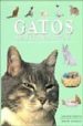 GATOS: RAZAS, CUIDADOS, HISTORIA (1000 FOTOGRAFIAS, MAS DE 300 RA ZAS) de POLLARD, MICHAEL 