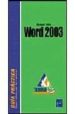 WORD 2003 di VV.AA. 
