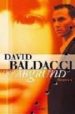 DER ABGRUND di BALDACCI, DAVID 