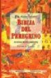 BIBLIA DEL PEREGRINO:  NUEVO TESTAMENTO (ED. DE ESTUDIO) de SCHOKEL, LUIS ALONSO 