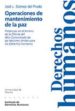 OPERACIONES DE MANTENIMIENTO DE LA PAZ: PRESENCIAS EN EL TERRENO DE LA OFICINA DEL ALTO COMISIONADO DE LAS NACIONES UNIDAS PARA LOS DERECHOS HUMANOS di GOMEZ DEL PRADO, JOSE L. 