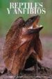 REPTILES Y ANFIBIOS: ENCICLOPEDIA DE LOS ANIMALES di VV.AA. 