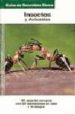 INSECTOS Y ARACNIDOS (GUIAS DE NATURALEZA BLUME) di VV.AA. 