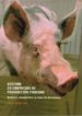 GESTION EN EMPRESAS DE PRODUCCION PORCINA: ANALISIS, DIAGNOSTICO Y TOMA DE DECISIONES di VV.AA. 