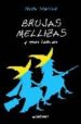 BRUJAS MELLIZAS Y OTRAS HISTORIAS (CAJON DESASTRE) de SCHUJER, SILVIA 