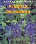 PLANTAS DE SOMBRA de BUCZACKI, STEFAN 