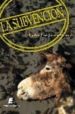 LA SUBVENCION di JARABO RIVERA, CARLOS JOSE 