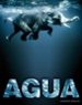 AGUA (EDICION REDUCIDA) de ARAUJO, JOAQUIN 