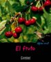 EL FRUTO (QUIEN ERES? NATURALEZA) di GUIDOUX, VALERIE 