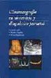 ULTRASONOGRAFIA EN OBSTETRICIA Y DIAGNOSTICO PRENATAL di CAFICI, D. 