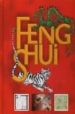 FENG SHUI de SKINNER, STEPHEN 