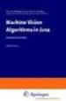 MACHINE VISION ALGORITHMS IN JAVA: TECHNIQUES AND IMPLEMENTATION de MOLLOY, DEREK  WHELAN, PAUL 