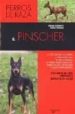 EL PINSCHER di CORSINAVI, V.  PANCALDI, S. 
